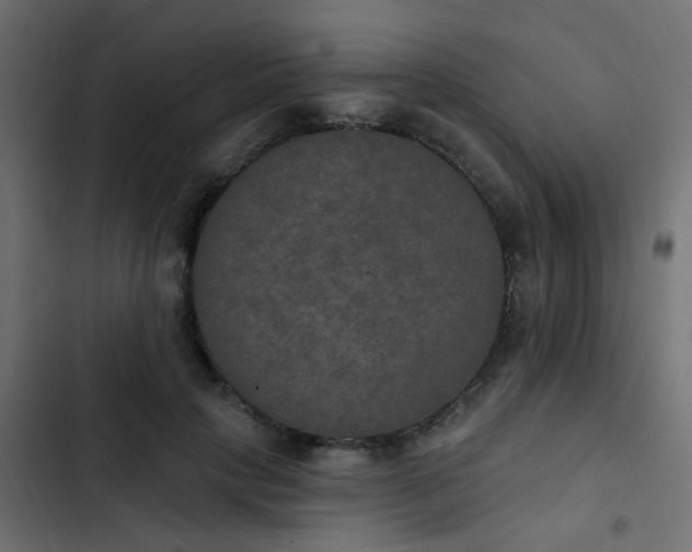 X0000103950649200809261749