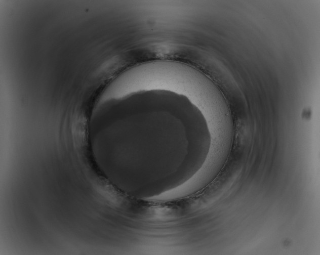 X0000103950650200809261749