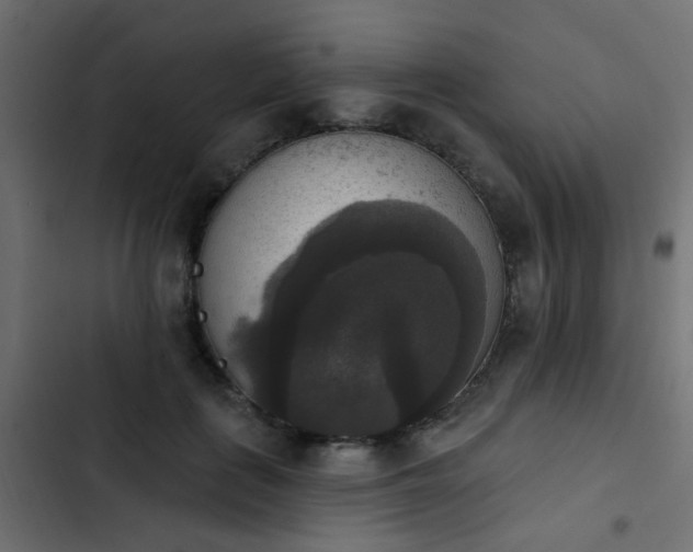 X0000103950651200809261749