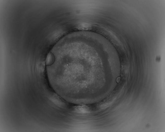 X0000103950652200809261749