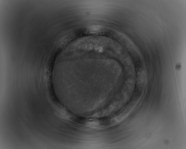 X0000103950653200809261749