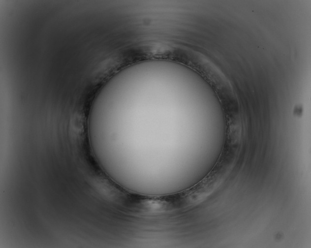 X0000103950654200809261749