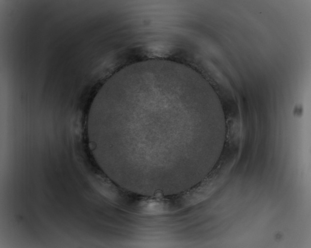 X0000103950655200809261749