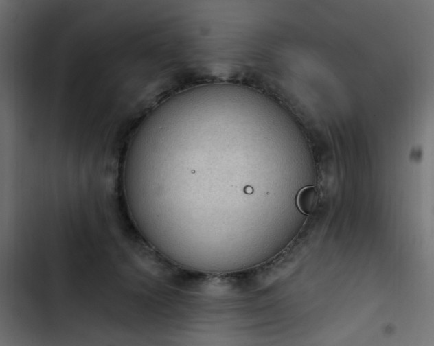 X0000103950656200809261749