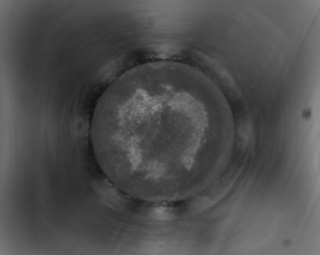 X0000103950657200809261749