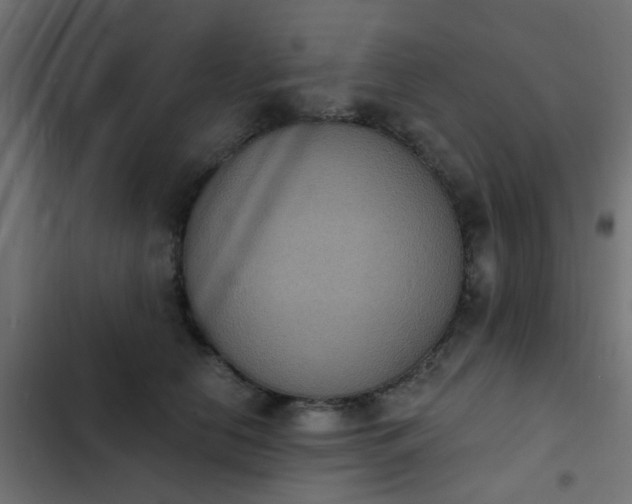 X0000103950658200809261749