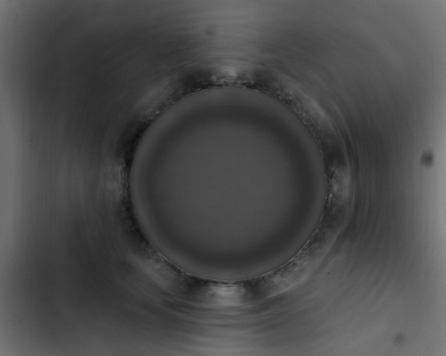 X0000103950659200809261749