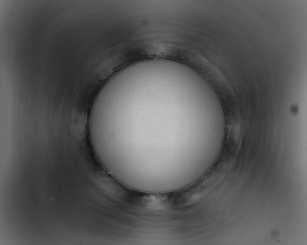 X0000103950660200809261749