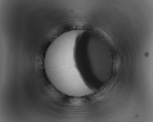 X0000103950661200809261749