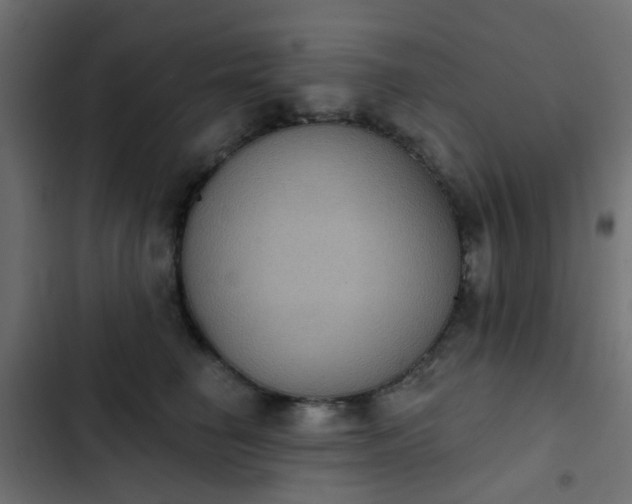 X0000103950662200809261750