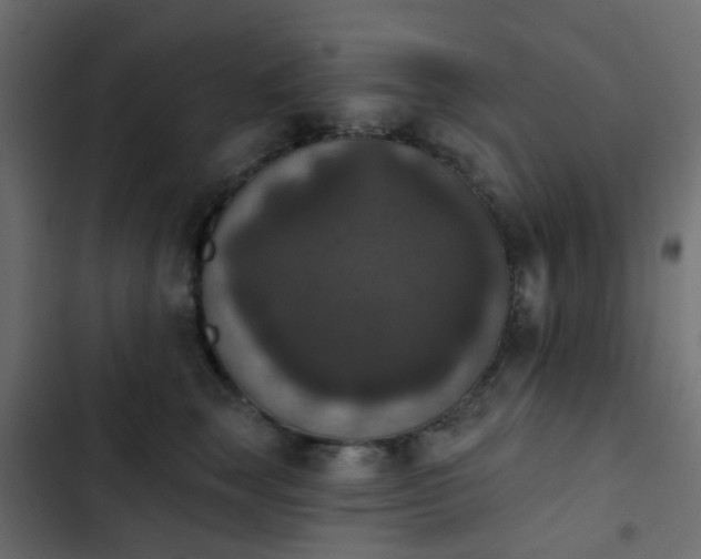 X0000103950663200809261750