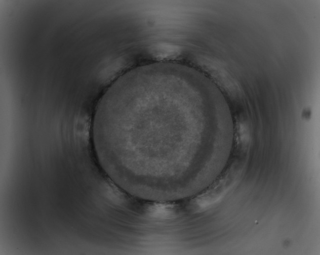 X0000103950664200809261750