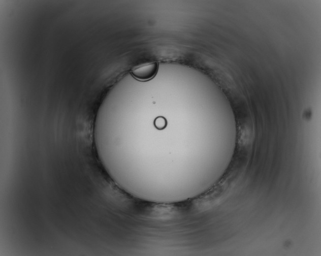 X0000103950666200809261750