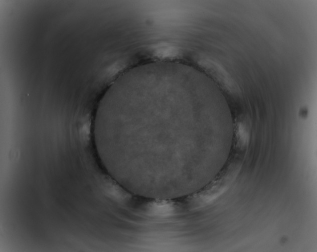 X0000103950668200809261750