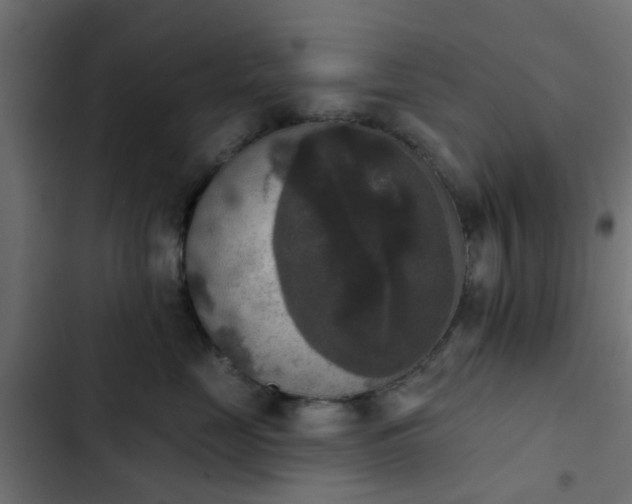 X0000103950669200809261750