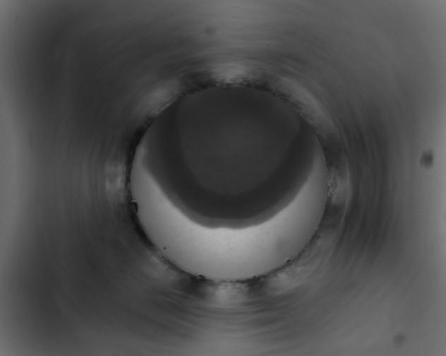 X0000103950670200809261750