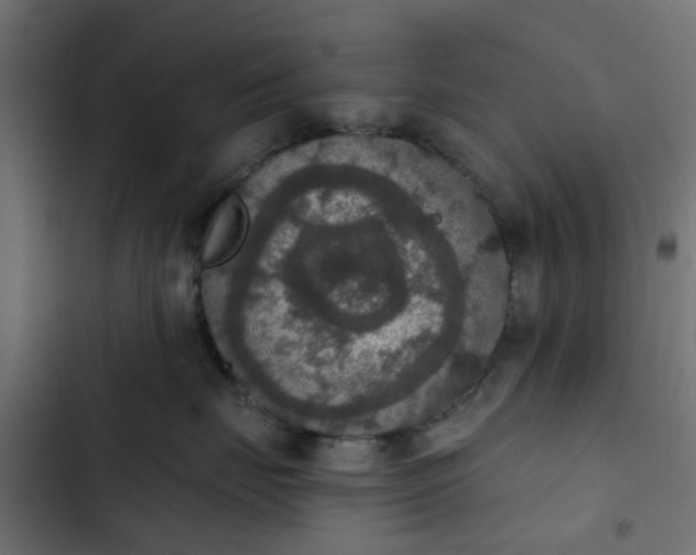 X0000103950671200809261750