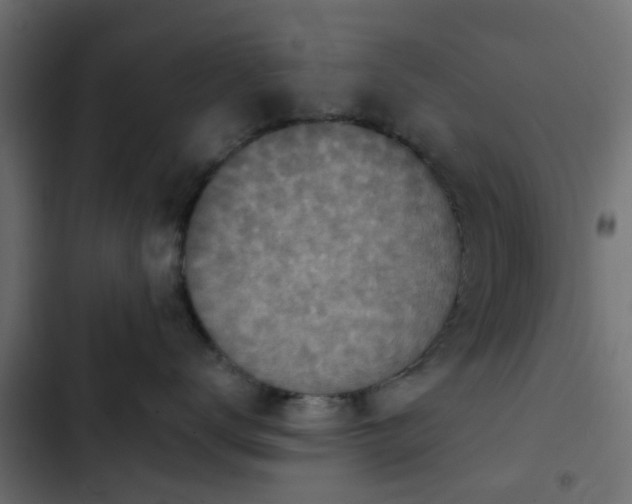 X0000103950672200809261750