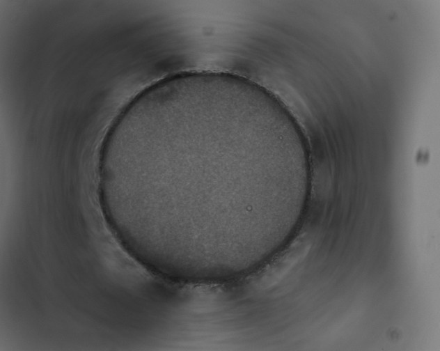 X0000103950673200809261749