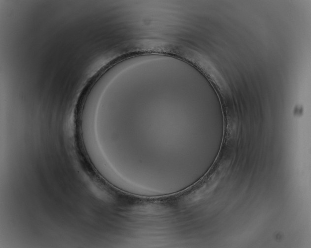 X0000103950674200809261749