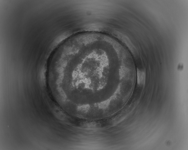 X0000103950675200809261749