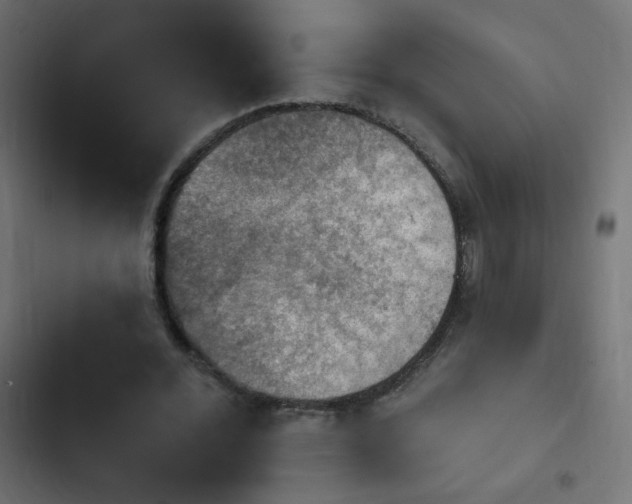 X0000103950676200809261749