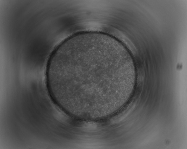 X0000103950677200809261749