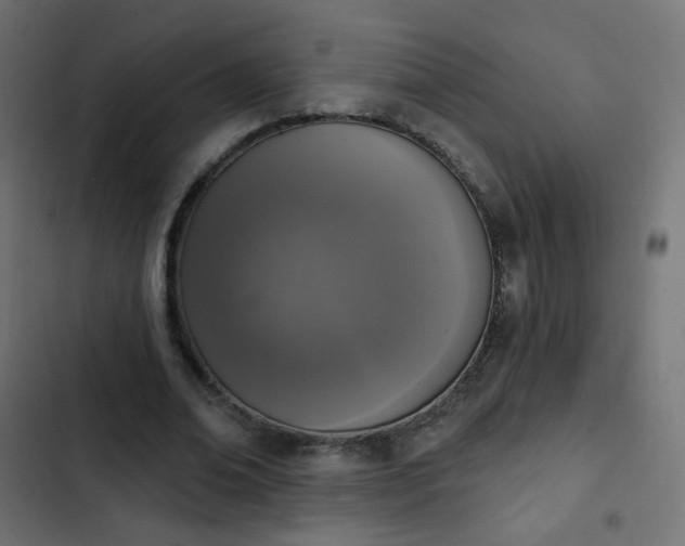 X0000103950678200809261749