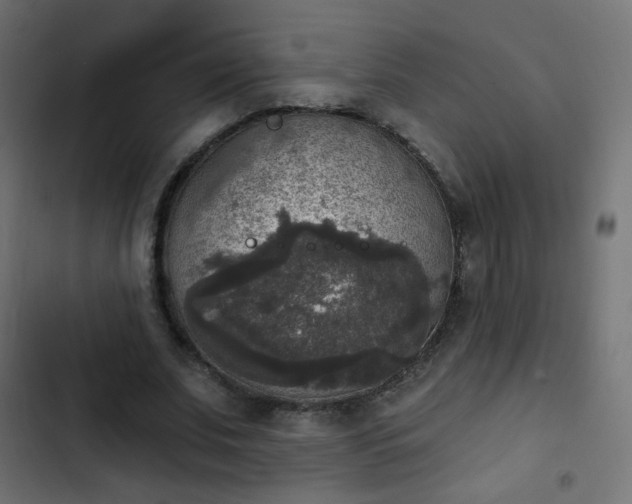 X0000103950679200809261749