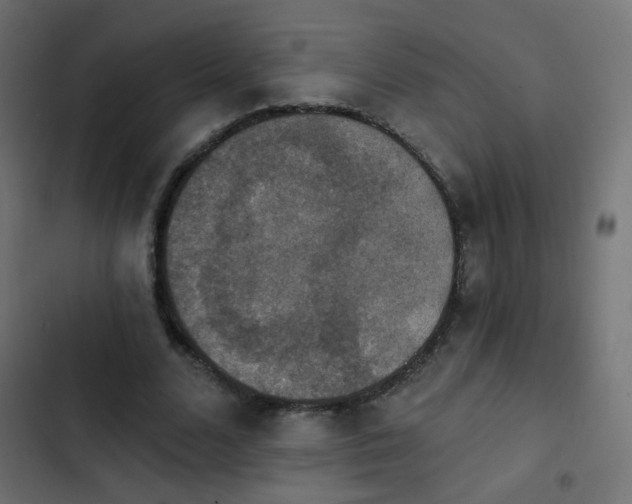 X0000103950680200809261749