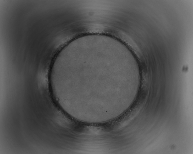 X0000103950681200809261749