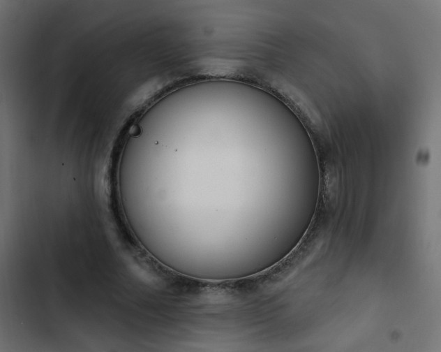 X0000103950682200809261749