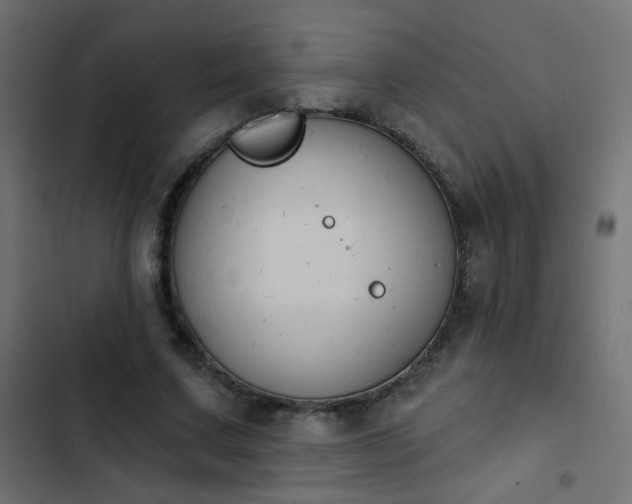 X0000103950683200809261749