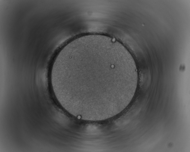 X0000103950684200809261749