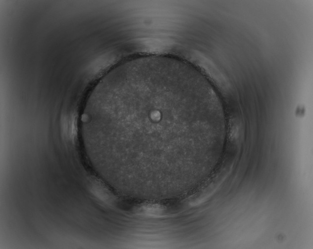 X0000103950685200809261749