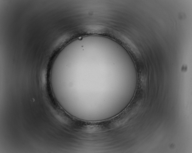 X0000103950686200809261749