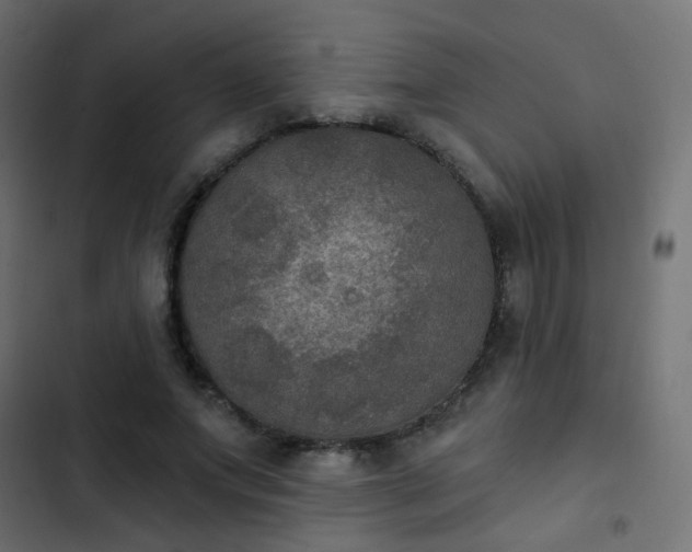 X0000103950687200809261749