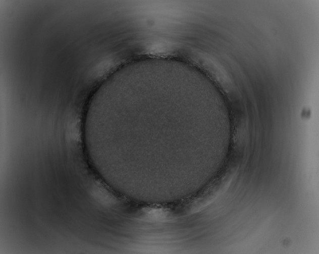 X0000103950689200809261749