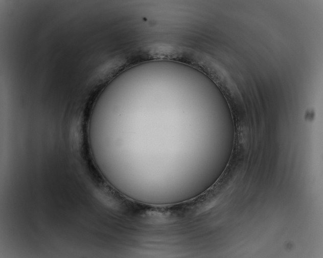 X0000103950690200809261749