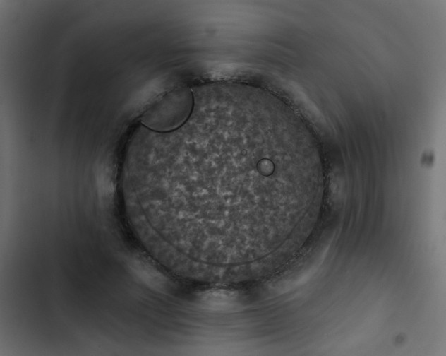 X0000103950691200809261749