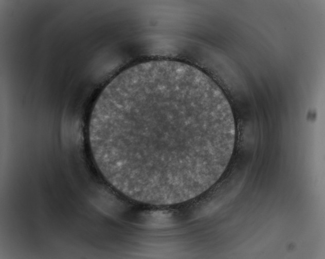 X0000103950692200809261749