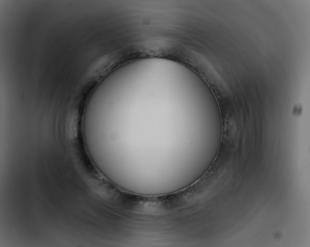 X0000103950694200809261749