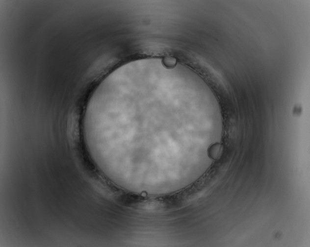 X0000103950696200809261749