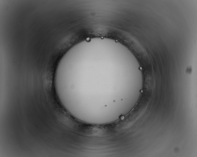 X0000103950697200809261749