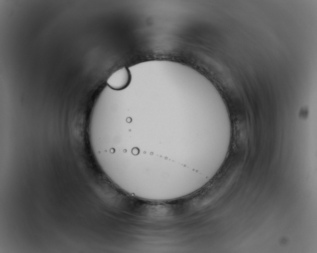 X0000103950698200809261749