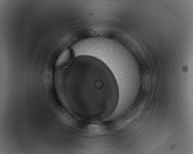 X0000103950699200809261749