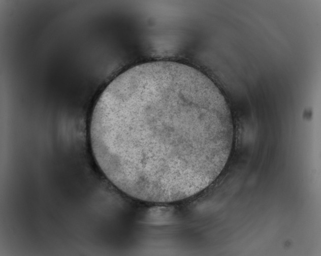 X0000103950700200809261749