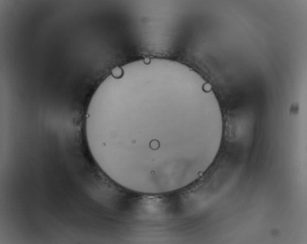 X0000103950701200809261749