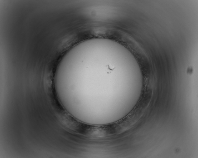 X0000103950702200809261749