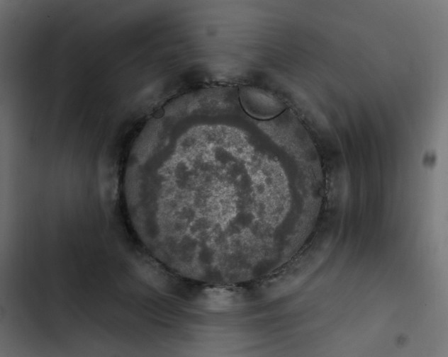 X0000103950703200809261749